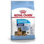 Royal Canin Maxi Starter Mother & Babydog (Trinciapollo Riso) - secco