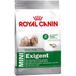 Royal Canin Mini Exigent Adulto - secco