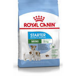 Royal Canin Mini Starter Mother & Babydog - secco