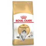 Royal Canin Norwegian Forest Adult - secco