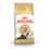 Royal Canin Adult Persian Gatto - secco
