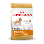 Royal Canin Poodle Adult - secco