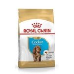 Royal Canin Puppy Cocker - secco