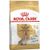 Royal Canin Yorkshire Terrier Adult 8+ - secco