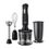 Russell Hobbs Matte Black Frullatore ad Immersione 3in1 24702-56