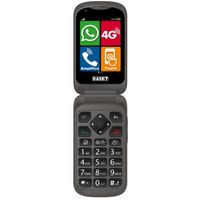 Saiet Link 4+