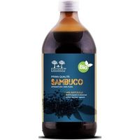 Salugea Succo di Sambuco Bio