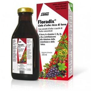 Salus Floradix Stanchezza Liquido