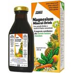 Salus Haus Mangesium Mineral-Drink Sciroppo