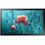 Samsung QB13R-T