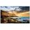 Samsung QE55T