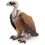 Schleich Avvoltoio