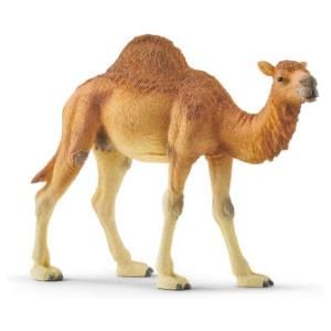 Schleich Dromedario