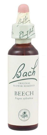 Schwabe Pharma Fiori di Bach Beech