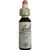 Schwabe Pharma Fiori di Bach Elm