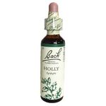 Schwabe Pharma Fiori di Bach Holly