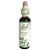Schwabe Pharma Fiori di Bach Holly