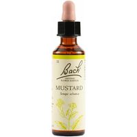 Schwabe Pharma Fiori di Bach Mustard
