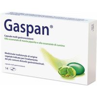 Schwabe Pharma Gaspan
