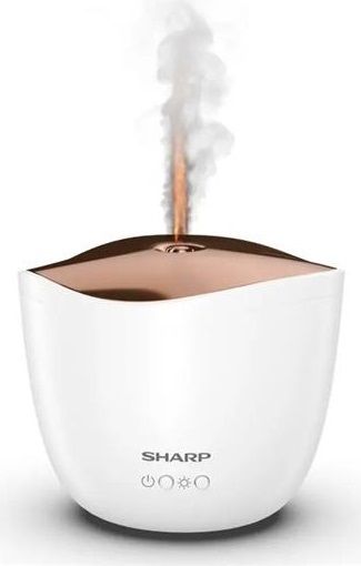 Sharp DF-A1E-W