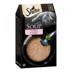 Sheba Classic Soup - Salmone