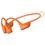 Shokz OpenRun Pro 2 (S820)