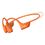 Shokz OpenRun Pro 2 (S821)