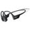 Shokz OpenRun Pro (S811)