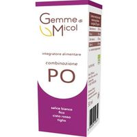 Sitar Gemme di Micol PO