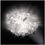 Slamp Veli Ceiling/Wall Medium plafoniera