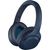 Sony WH-XB900N
