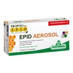 Specchiasol Epid Aerosol Fiale