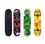 Sport One Skateboard Orion