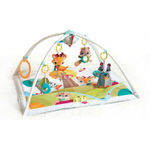 Tiny Love Palestrina Gymini Deluxe