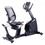 Toorx BRX Recumbent 300