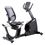 Toorx BRX Recumbent 100 Ergo