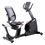Toorx BRX Recumbent 300 Ergo