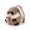 Trudi Charm Procione