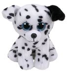 Ty Catcher dalmata