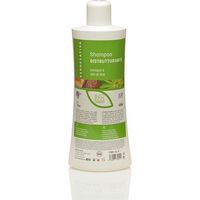 Verdesativa Shampoo Ristrutturante Canapa e Olio di Lino
