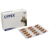 VetPlus Lypex