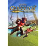Warner Bros. Harry Potter: Campioni di Quidditch