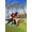Warner Bros. Harry Potter: Campioni di Quidditch