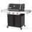Weber Genesis E-315