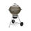 Weber Master-Touch GBS