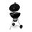 Weber Master-Touch GBS Premium