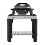 Weber Pulse 1000