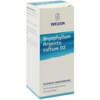 Weleda Bryophyllum Argento Cultum D2