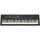 Yamaha Sintetizzatore digitale CK61