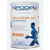 Zeta 92 Neogela Collagene Ossa e Articolazioni Polvere